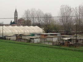 Sulla Ciclovia del Po verso Piacenza (25695 bytes)